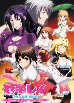 鹡鸰女神  第二季封面图